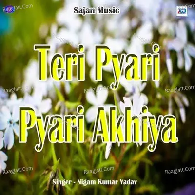 Teri Pyari Pyari Akhiya Poster