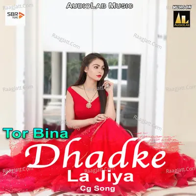 Tor Bina Dhadke La Jiya-Cg Song Poster