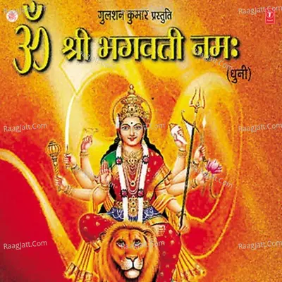 Om Shri Bhagwati Namah -Dhuni - Manju Rajoriya