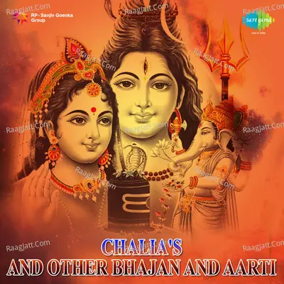 Chalisas And Other Bhajans And Aarti Of Shiv  - Hari Om Sharan