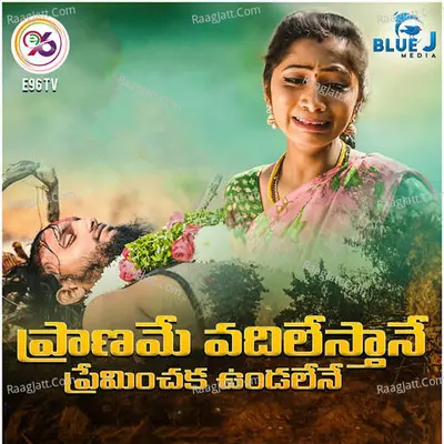 Praname Vadilesthane Preminchaka Undalene Cover