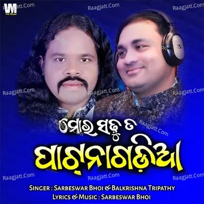 Mor Sadhu Ta Patanagadia Cover