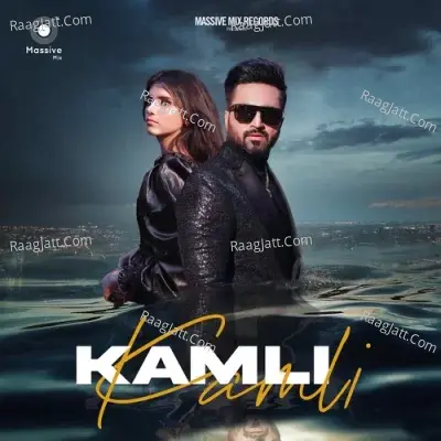 Falak Shabir Image