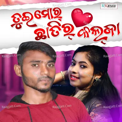 Tui Mor Chhatir Kalja Cover