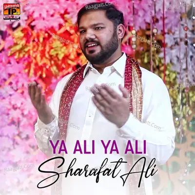 Ya Ali Ya Ali - Single Cover