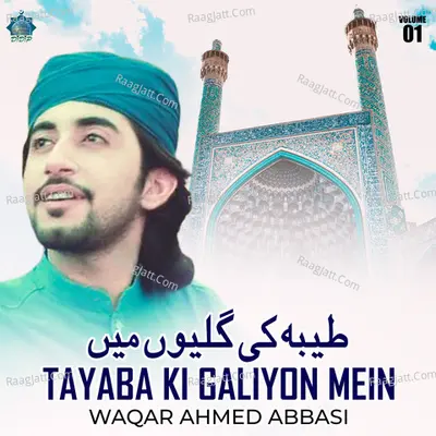 Tayaba Ki Galiyon Mein, Vol. 1 - Waqar Ahmed Abbasi
