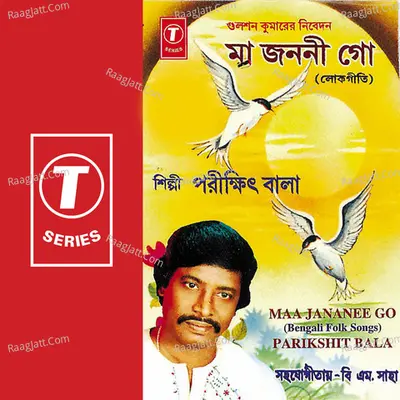 Maa Jananee Go - Parikshit Bala