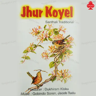 Jhur Koyel Poster