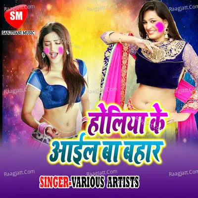 Holiya Ke Aail Ba Bahar Poster