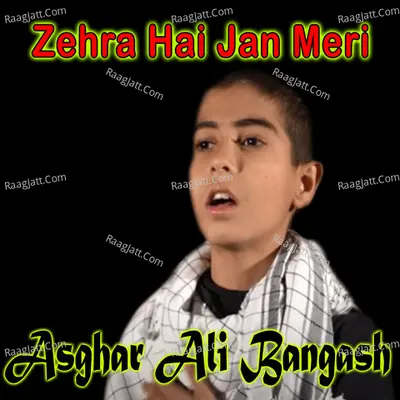 Zehra Hai Jan Meri - Single