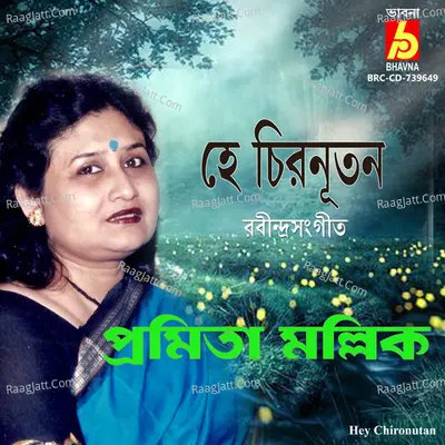 Hey Chironutan Cover