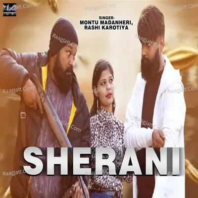 Sherani Cover