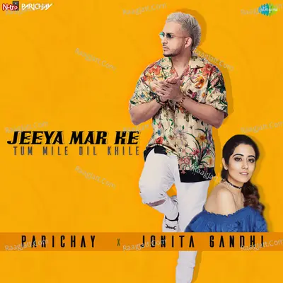 Jeeya Mar Ke Tum Mile Dil Khile Cover