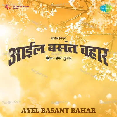 Ayel Basant Bahar Cover