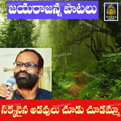 Chakkanaina Adavulu Chudu Chudamma Cover