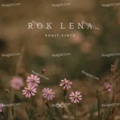 Rok Lena Cover