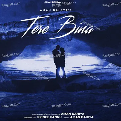 Tere Bina Cover