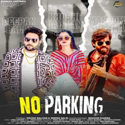 No Parking Cover