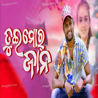 Tui Mor Jaan Cover