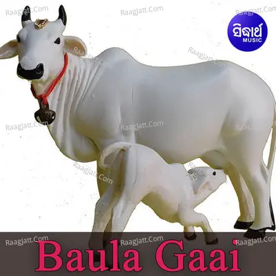 Baula Gaai Poster