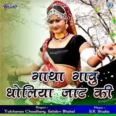 Tulcharam Choudhary Image
