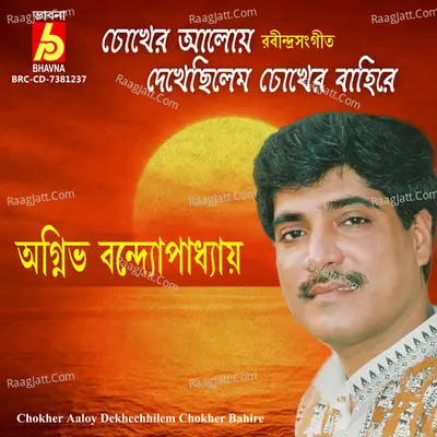 Chokher Aaloy Dekhechhilem Chokher Bahire Cover