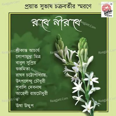 Robe Nirobe Poster
