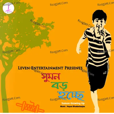 Sumon Boro Hochche Poster