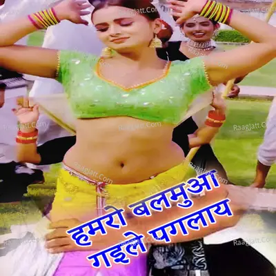 Nirkhu Sajanva