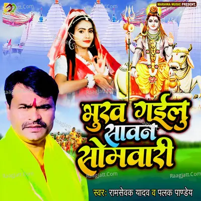Bhukh Gailu Sawan Ke Somwari Cover