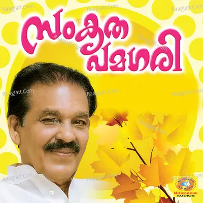 Sankruthapamagiri Poster