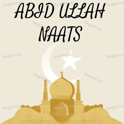 PASHTO NEW NAATS ABID ULLAH VOL 4 Poster