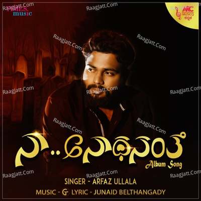 Naa Anathanante Cover