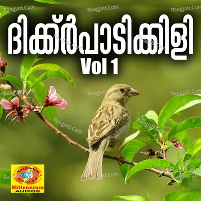 Dikkarpadikili, Vol. 1 - Baby Bahjidha