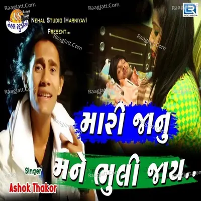 Mari janu Mane Bhuli Jay Cover