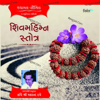 Shivmahimna Stotra Cover