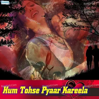 Hum Tohse Pyaar Kareela Poster