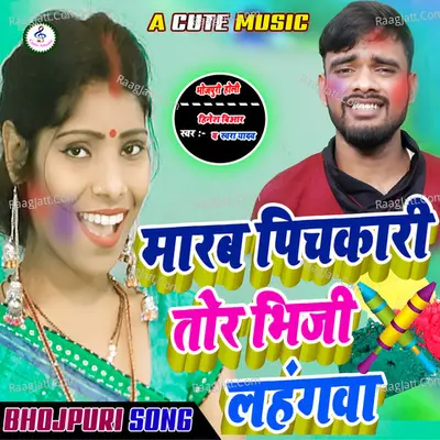 Marab Pichkari Tor Bhiji Lahangawa Cover