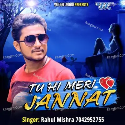 Tu Hi Meri Jannat - Rahul Mishra