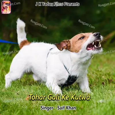 Tohar Gali Ke Kutwa