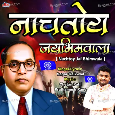 Nachtoy Jai Bhimwala Cover