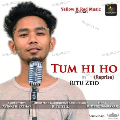 Tum Hi Ho (Reprise) Cover