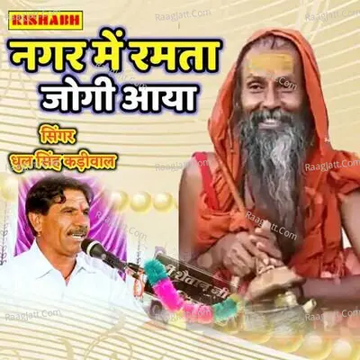 Dhul Singh Kadiwal Image