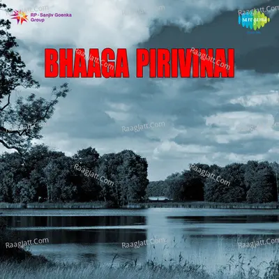 Bagappirivinai - vishwanathan ramamurthy