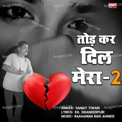 Tod Kar Dil Mera-2
