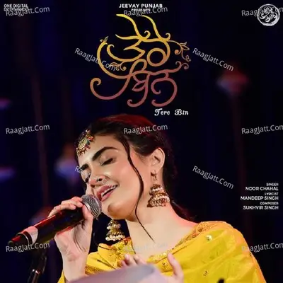 Tere Bin Cover