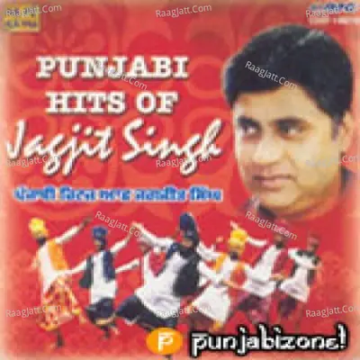 Punjabi Hits Of Jagjit Singh - Jagjit Singh
