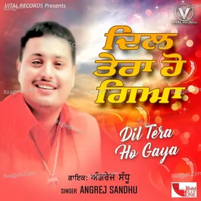 Dil Tera Ho Gaya Poster