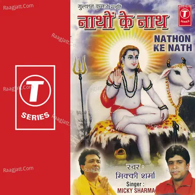 Nathon Ke Nath Poster