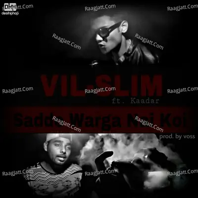 Sadde Warga Nai Koi (feat. Kaadar) - Single Cover